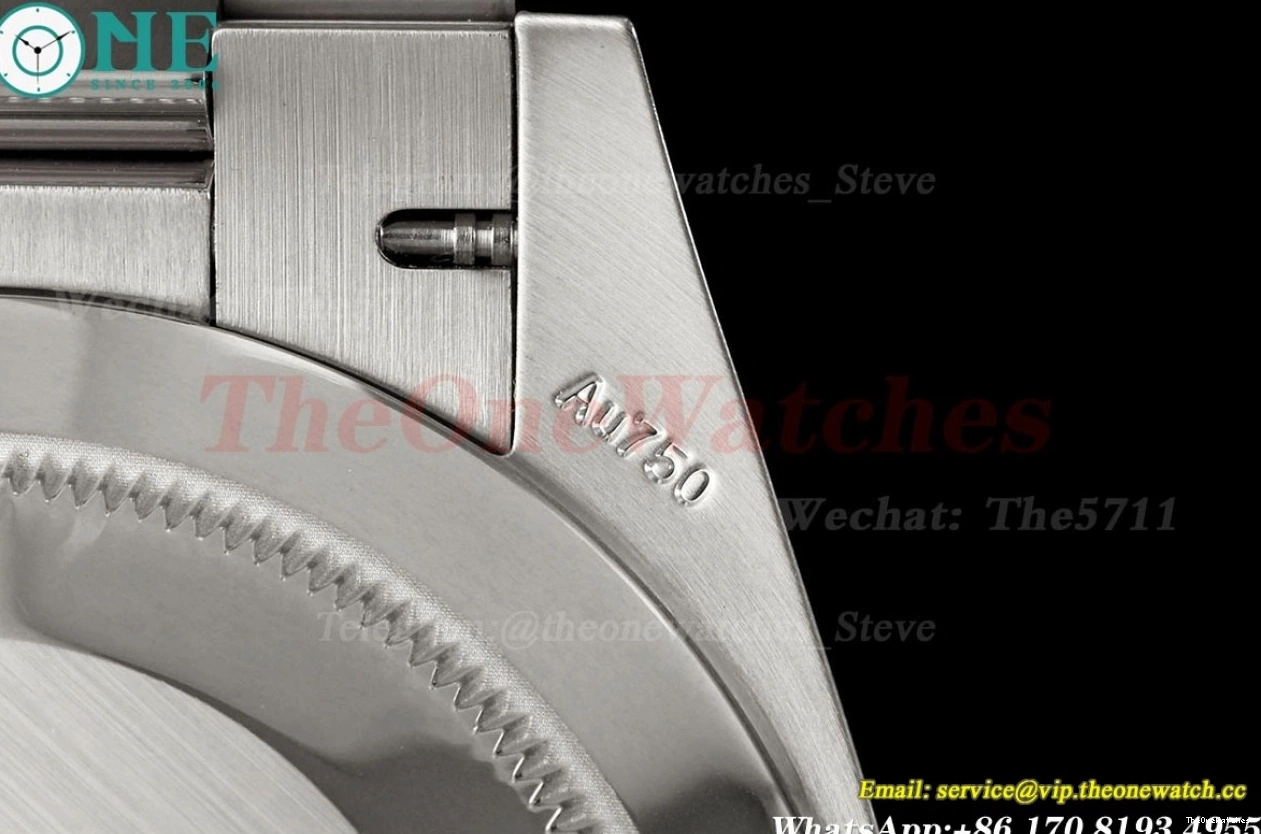 Heavy Version) THBF 228239 Dial Blue SH3255(Tungsten SS SS 40mm DayDate 0408